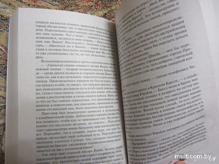 Книга издательства Азбука. Похождения бравого солдата Швейка (Гашек Я.)