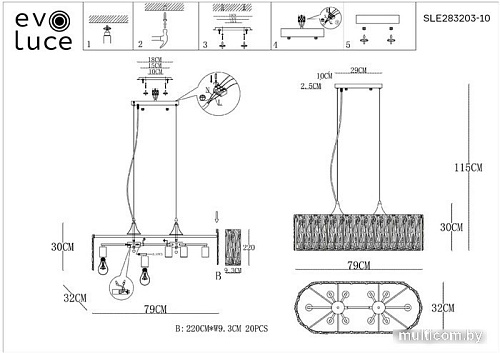 Подвесная люстра Evoluce SLE283203-10