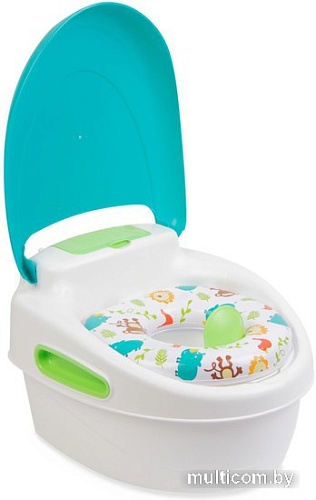 Детский горшок Summer Infant Step-By-Step 11436B (бирюзовый)