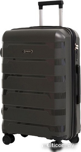 Чемодан-спиннер Pride PP-9602 (S, серый)