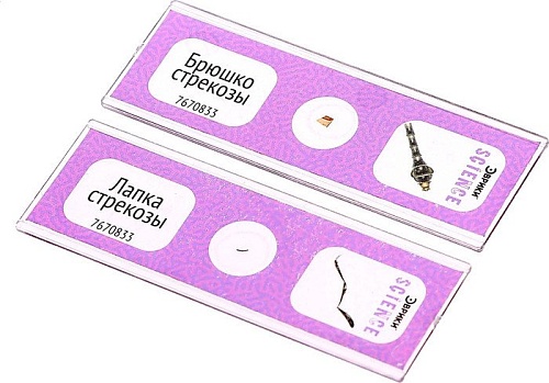 Набор для опытов Эврики Набор микропрепаратов. Насекомые 7670833