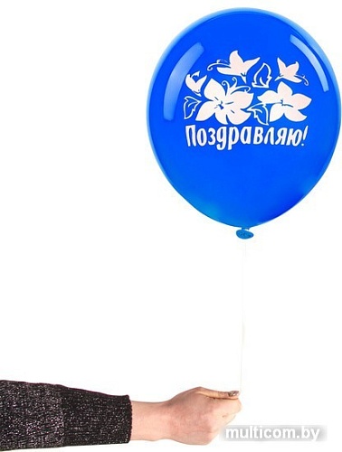 Набор воздушных шаров Золотая сказка Поздравляю 105015 (5 шт, 5 цв)