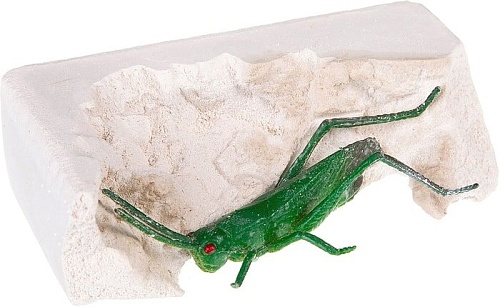 Набор для опытов Bondibon Науки с Буки Кузнечик ВВ2003