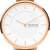 Наручные часы Skagen Gitte SKW3013