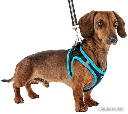 Шлейка Ferplast Kaori P 75469072 (XL, черный/синий)