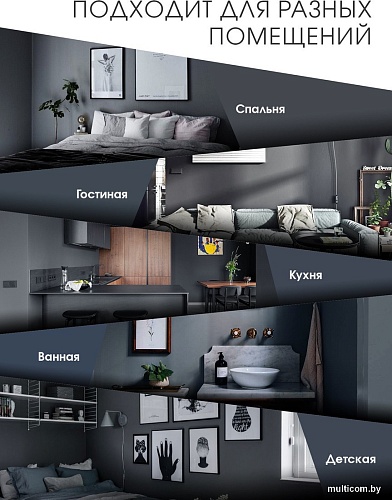 Palizh Акриловая интерьерная моющаяся 0.2 кг (графит)