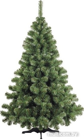 Ель Бифорес Арктика 1.8 м