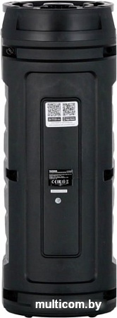 Колонка для вечеринок TELEFUNKEN TF-PS2204S