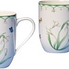 Набор кружек Villeroy &amp; Boch Colourful Spring 14-8663-8403