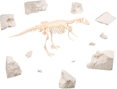 Набор для опытов Bondibon Науки с Буки Раскопки. Тираннозавр ВВ3179