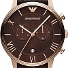 Наручные часы Emporio Armani AR1616