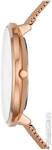 Наручные часы Skagen Gitte SKW3013