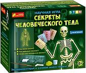 Ранок Секреты человеческого тела