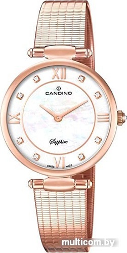 Наручные часы Candino C4668/1