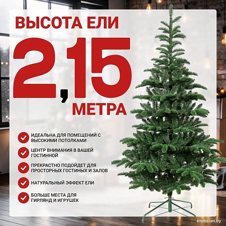 Winter Time 215 MKB07-941T