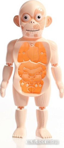 Набор для опытов Эврики Научный набор 7813739