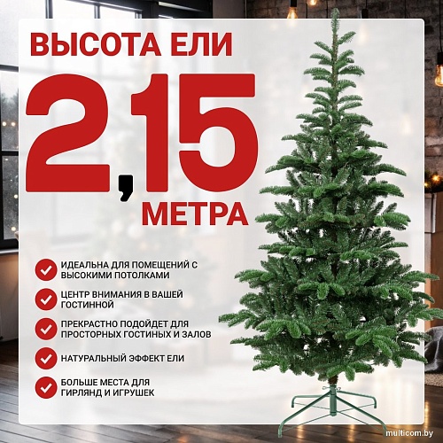 Winter Time 215 MKB07-941T