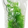 Искусственное растение Lucky Reptile Turtle Plant Horn Fern TP-42