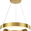 Подвесная люстра Odeon Light Brizzi 3885/25LG