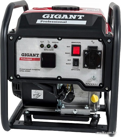 Бензиновый генератор Gigant Professional GPIGL-3000O