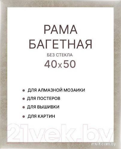 Фоторамка Декарт 40x50 8Л3082 (серебристый)