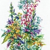 Набор для вышивания Сделай своими руками Полевые цветы П-50С