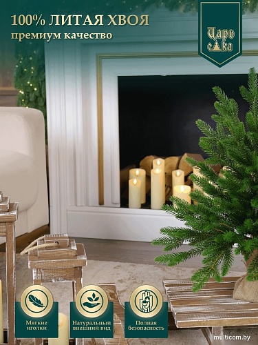 Ель Царь Елка Астерия премиум 60см 3D АСТР/ПР-60