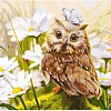 Картина по номерам Белоснежка Сова Везучка 3016-CS