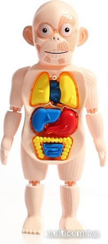 Набор для опытов Эврики Научный набор 7813739