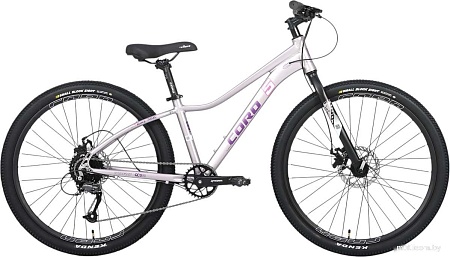 Велосипед Cord 5Bike 26 M300 2025 CRD-M5-2611-13 (цветущая сакура, разобранный)