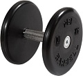 Гантели MB Barbell Классик 10 кг