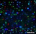 Световой дождь Luazon Led-720 (2x3 м, мульти) [1080470]