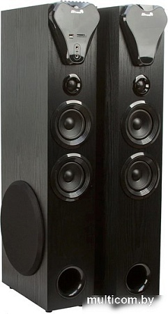 Акустика Eltronic 20-80 Home Sound (черный)