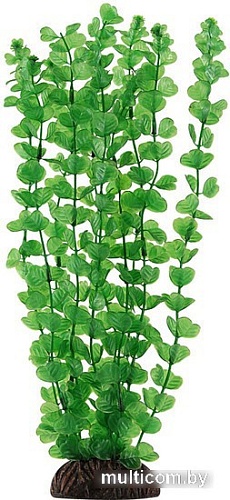Искусственное растение Laguna Бакопа 74044017