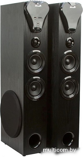 Акустика Eltronic 20-80 Home Sound (черный)