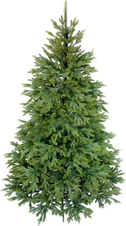 Ель Dommelochi Корейская ДОР-22К 2.2 м