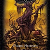 Книга издательства АСТ. Уиронда. Другая темнота, твердая обложка (Музолино Луиджи)