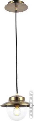 Подвесная люстра Evoluce Garonni SLE110103-01