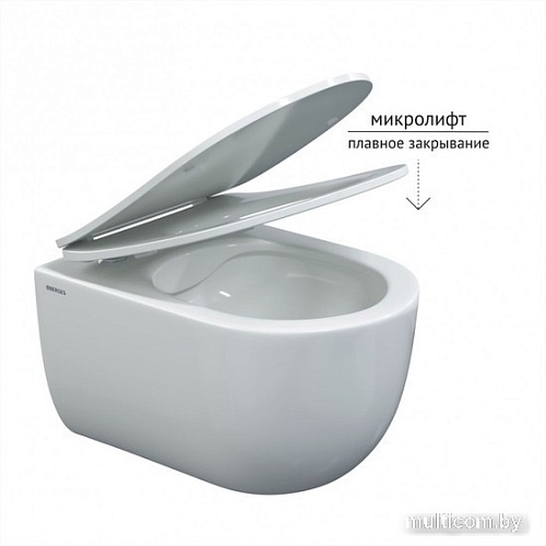 Унитаз подвесной Berges Wasserhaus Ventas 043310
