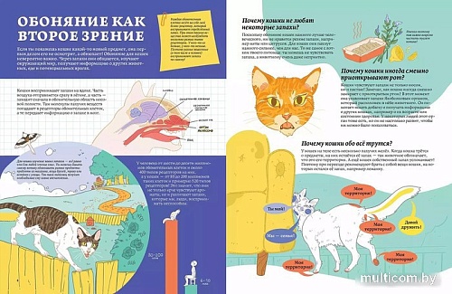 Энциклопедия издательства Альпина Паблишер. Секреты кошек. Как понять свою кошку и подружиться с ней (Рауш С.)