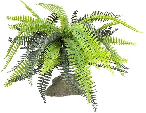 Искусственное растение Lucky Reptile Fern IF-101