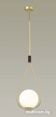 Подвесная люстра Odeon Light Flari 4810/1A