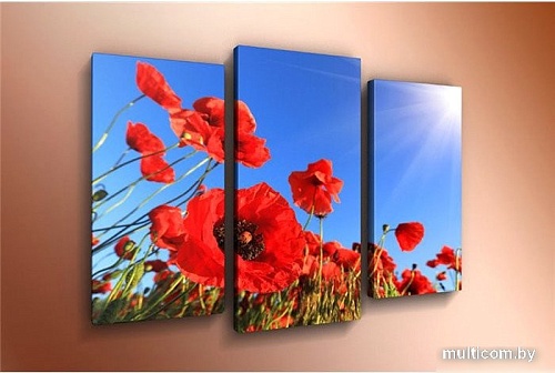 Модульная картина Arthata m-000501 120x80