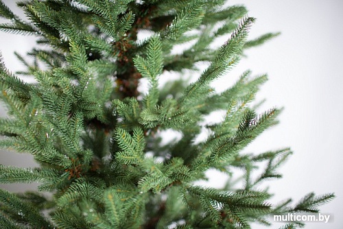 Ель Green Trees Нордман премиум 2.1 м