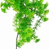 Искусственное растение Lucky Reptile Turtle Plant Horn Fern TP-42