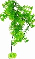 Искусственное растение Lucky Reptile Turtle Plant Horn Fern TP-42