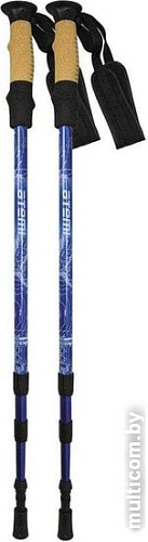 Треккинговые палки Atemi ATP-05 (синий)