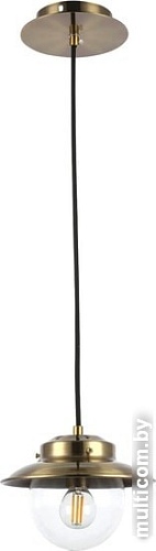 Подвесная люстра Evoluce Garonni SLE110103-01