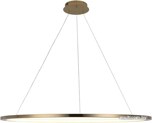 Подвесная люстра LOFT IT Ring 10014XXL