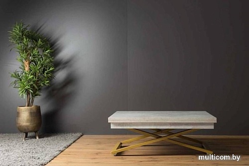 Levmar Cross D51/S90 (бетон/золото)